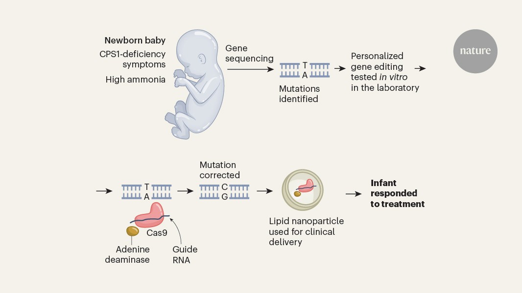 Related image for CRISPR gene editing