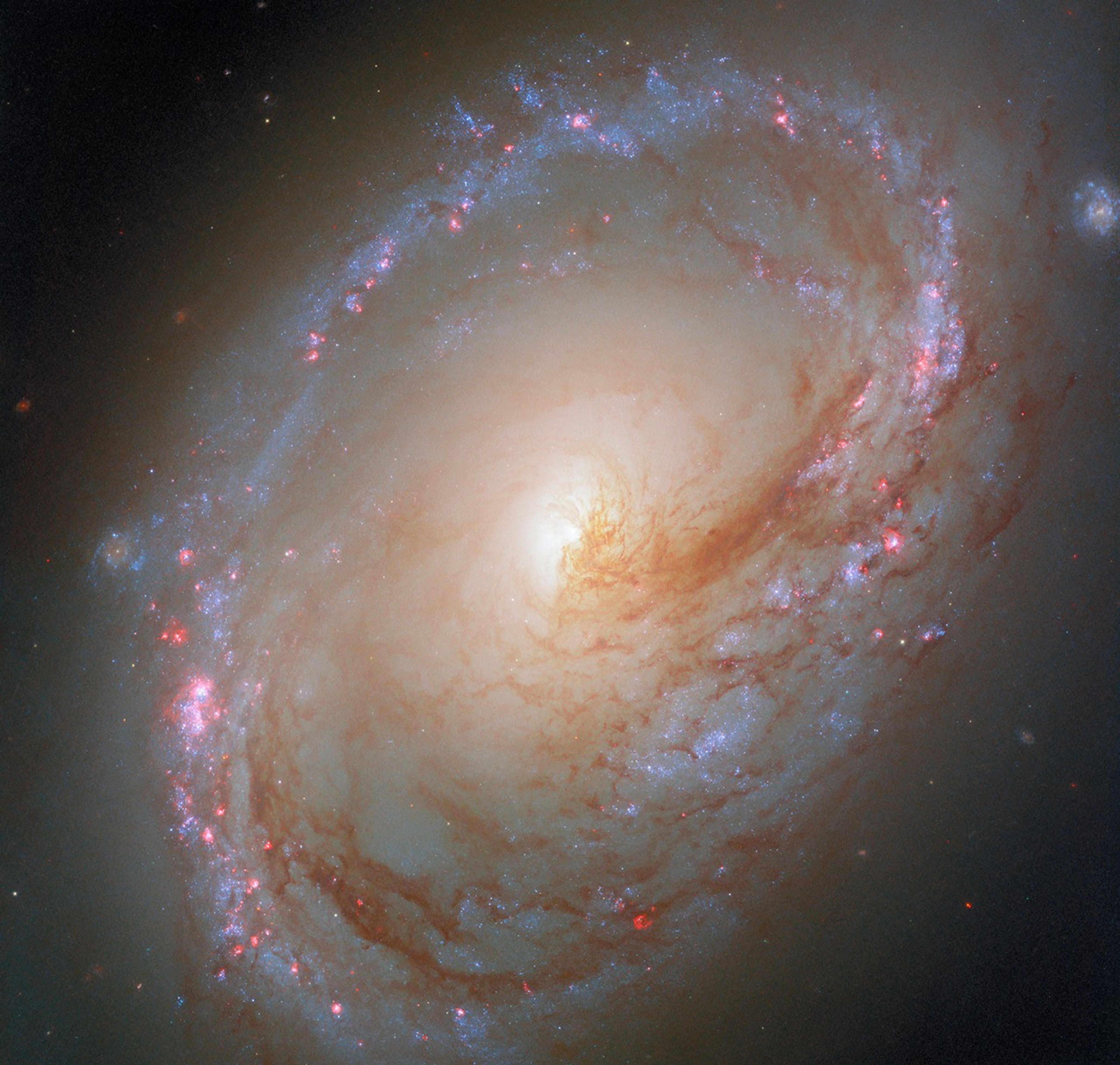 Related image for galaxy
