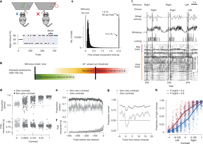 Related image for brainmap