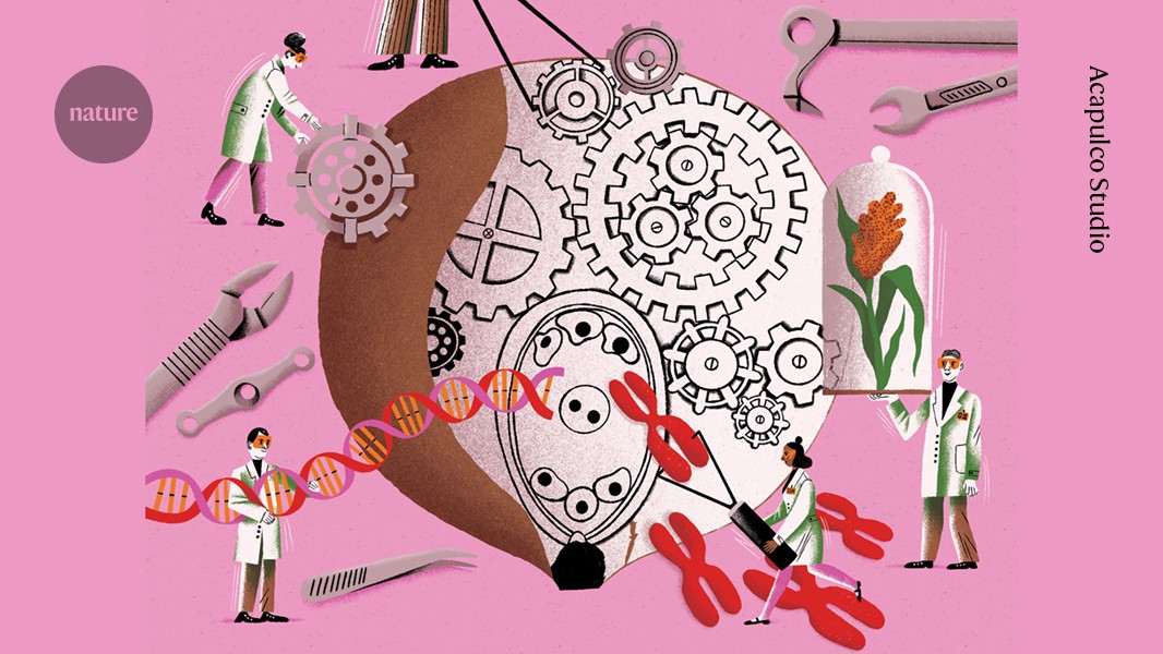 Related image for cloning crops