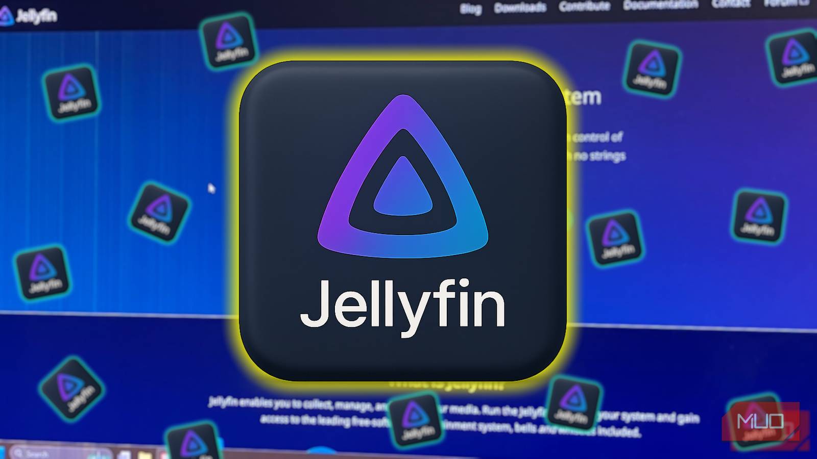 Related image for jellyfin