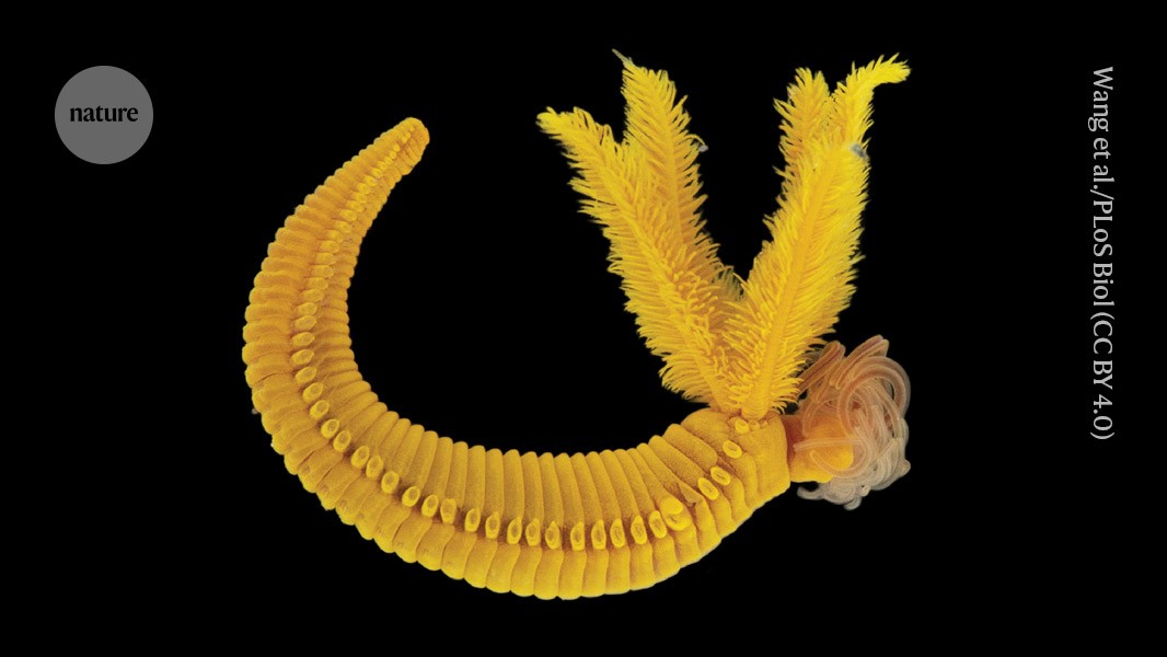 Related image for orpiment
