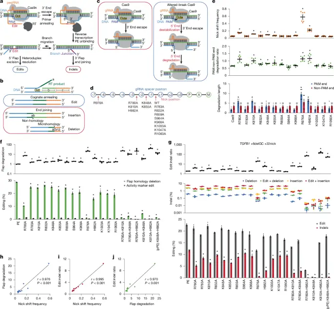 Related image for primeediting