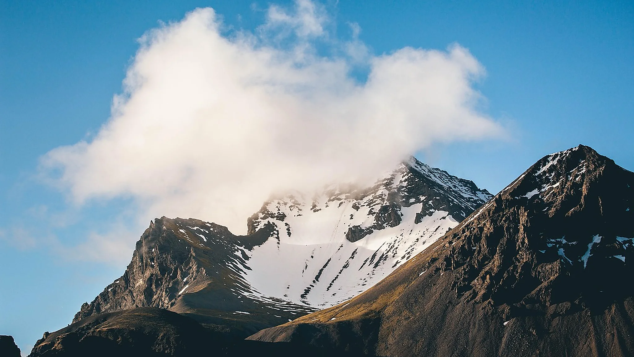 Related image for Coral Echoes