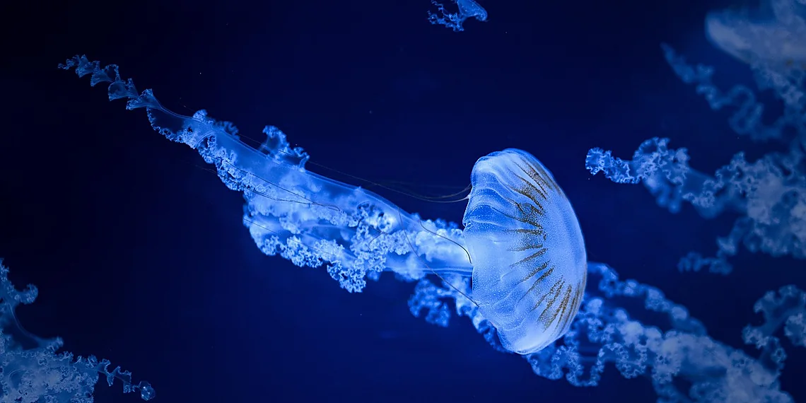 Related image for origins of life