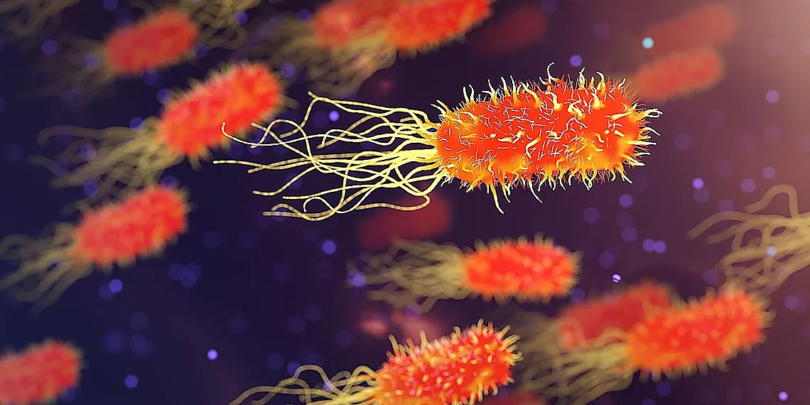 Why Ferroptosis Matters