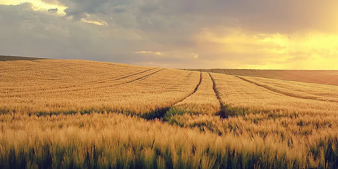 Bedrock for Creative Teams