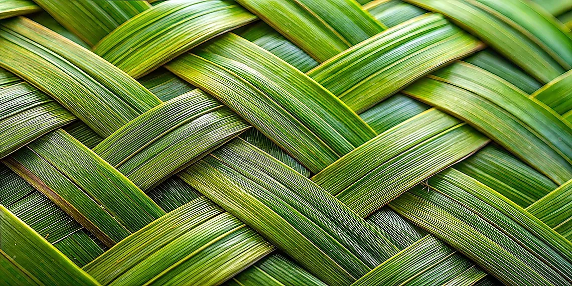 Why GPUs Still Need Help – CUDA optimization