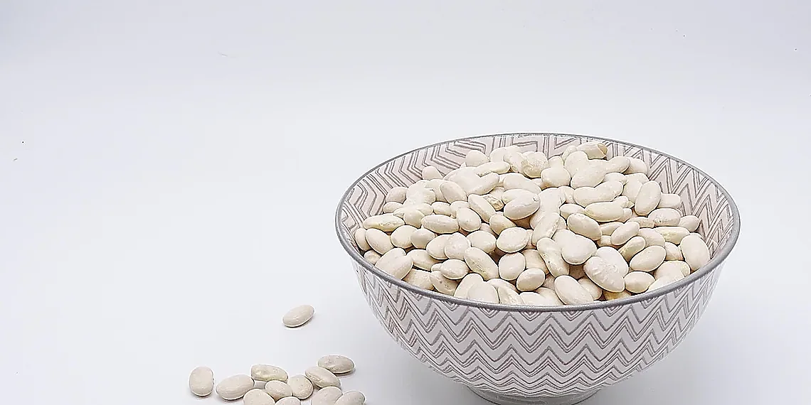 Meta-Learning for Protein Prediction