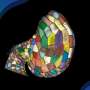 Related image for bioimage analysis