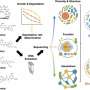 Related image for bioremediation
