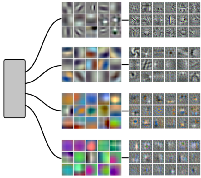 Related image for branchspecialization