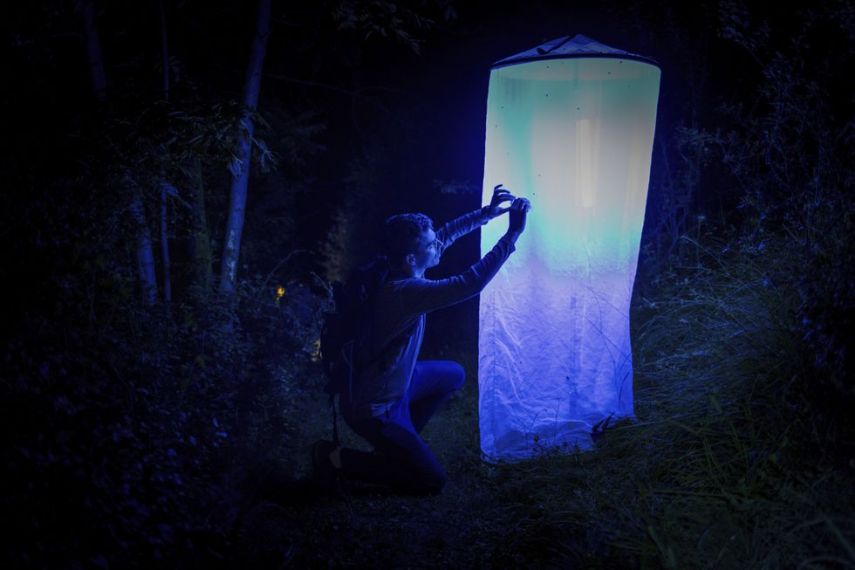 Related image for genome