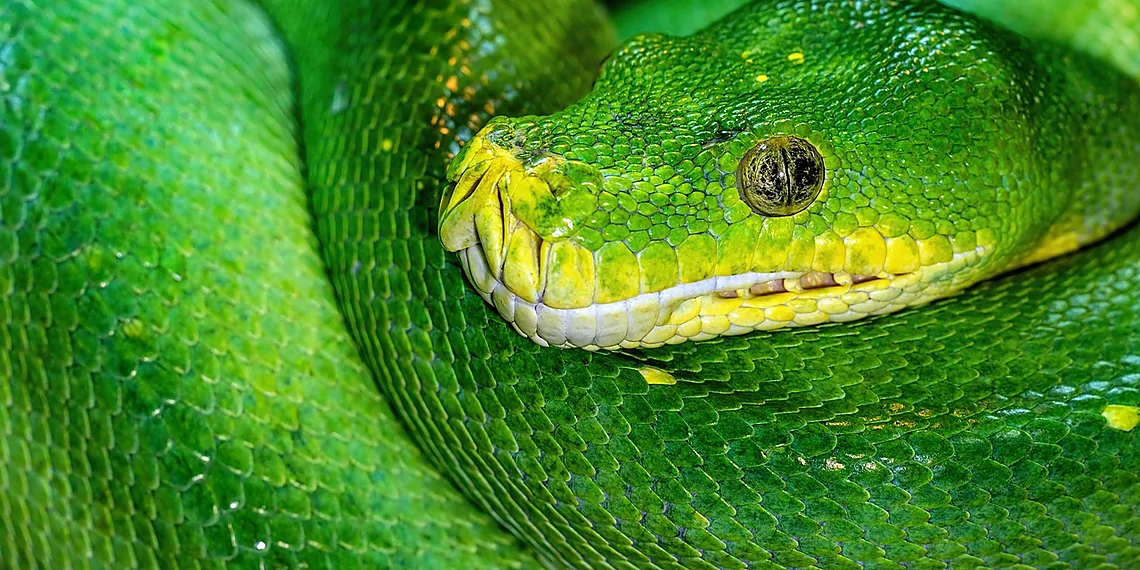 Related image for LLM Python One-liners