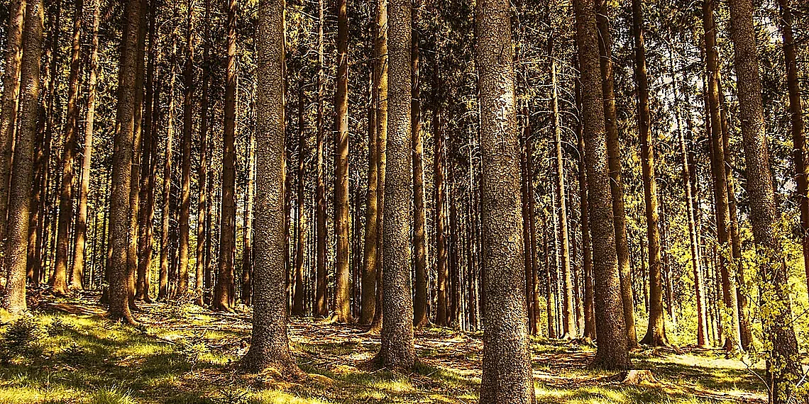 What Are Inverse Problems?