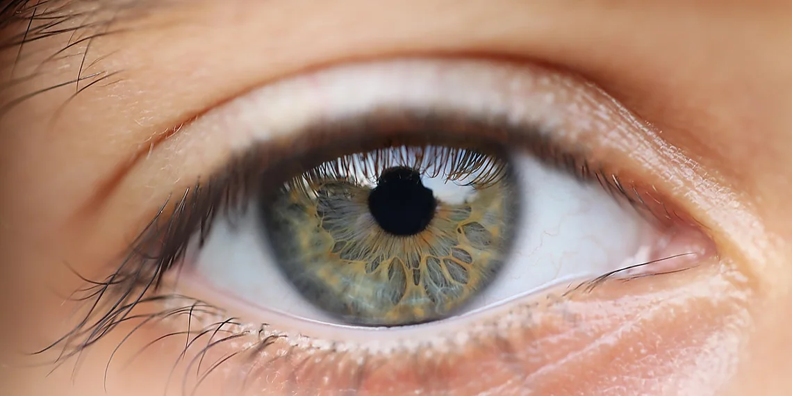 Related image for Vision AI Safety