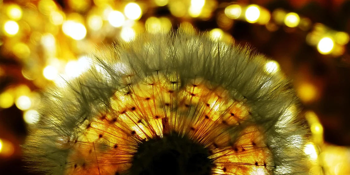 Related image for OOD generalization