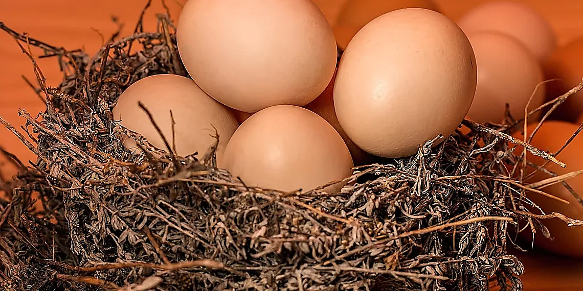 The Context Window Constraint – LLM chunking