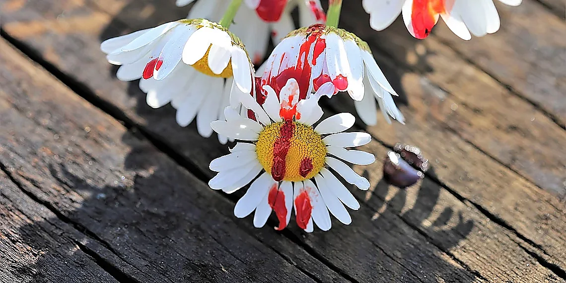 Message Passing and Refined Node Representations – brain disorder classification