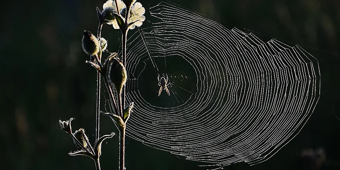 The Basics: From Noise to Generation – discrete diffusion scaling