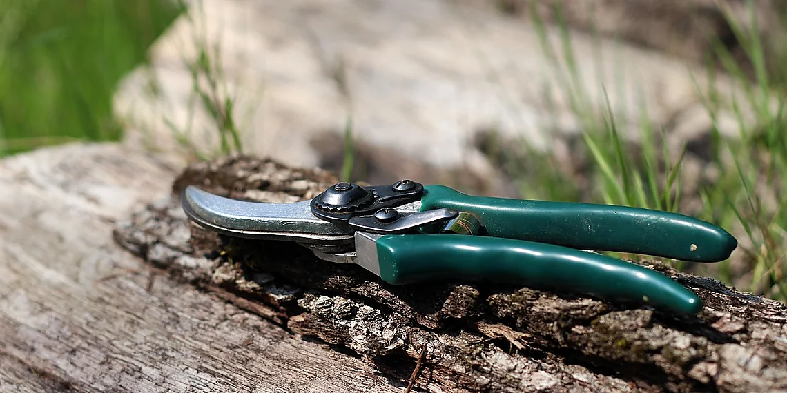 Related image for LLM pruning