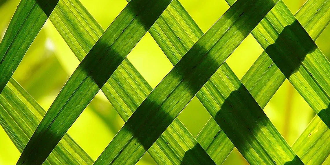 Understanding Deep Lattice Networks – time series forecasting