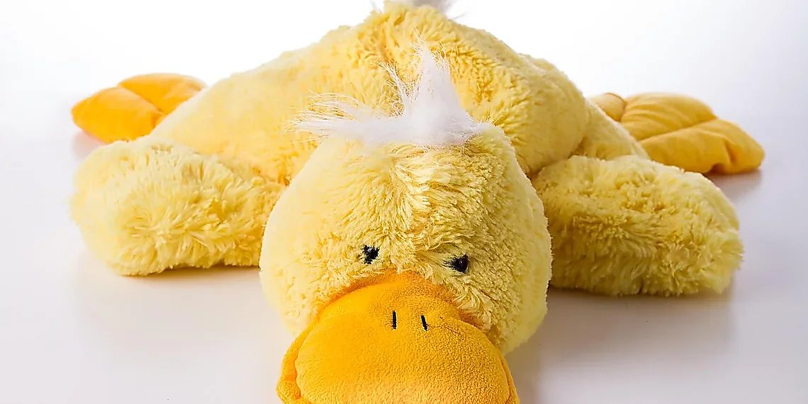 Why Verification is So Hard – hardware verification