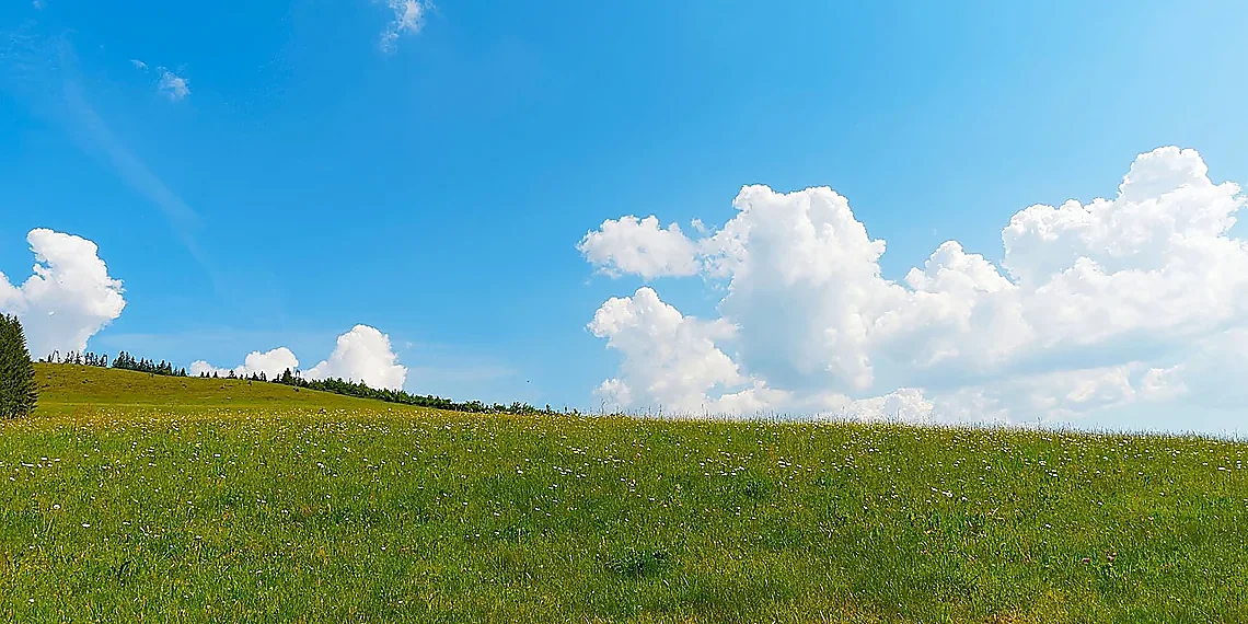 Magnetic Fields & Gas Clouds: The Key Ingredients – Diamond Ring Nebula