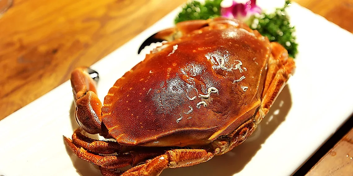 Accuracy Drops Aren't Always Truth – multimodal AI contribution