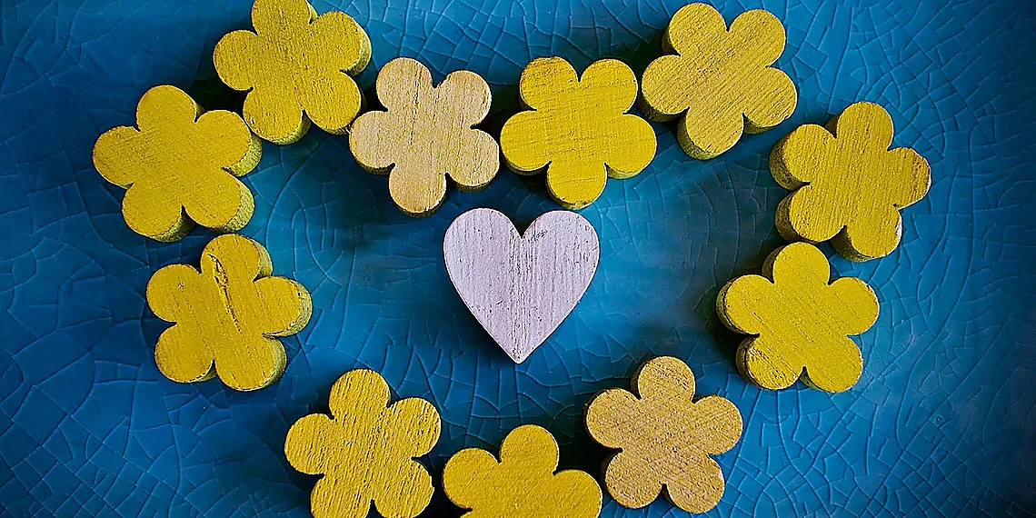 Universal Application: Beyond Time Series – Proximity Forest