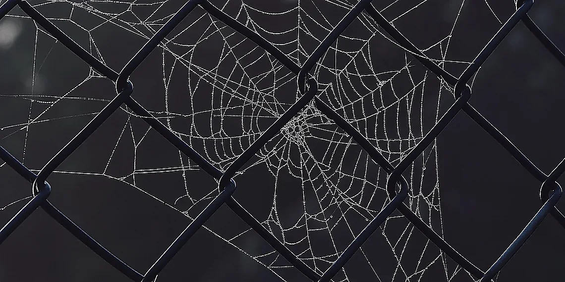 Measuring What Matters: Facts-Per-Parameter – fact-storing MLPs