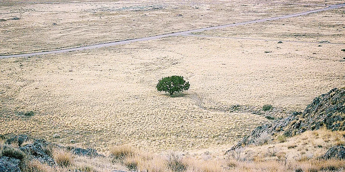 Data Hunger & Limited Datasets – AI materials engineering