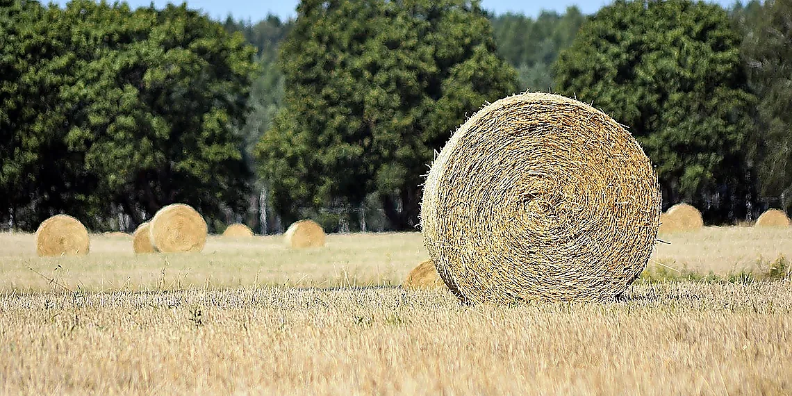 The Core Idea: Cellular Sheaves & Graph Structures – Neural Sheaf Diffusion