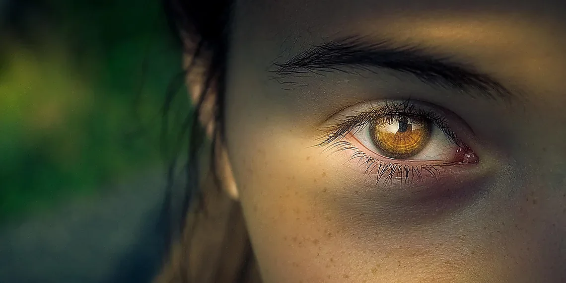 Why ASCII Art? A Symbolic Probe – LLM Visual Reasoning