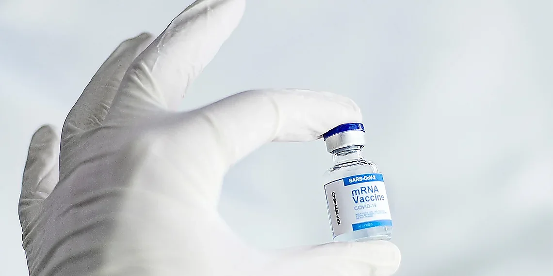 What are MicroRNAs (miRNAs)? – drug-miRNA interaction