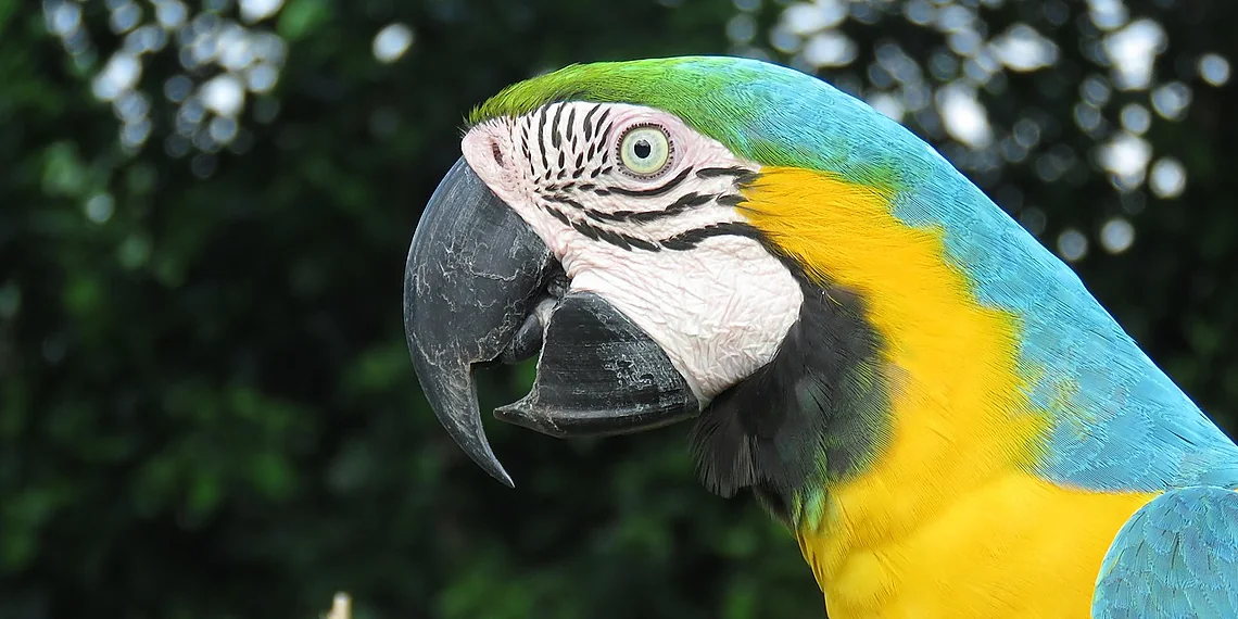 Related image for Lifelong Learning