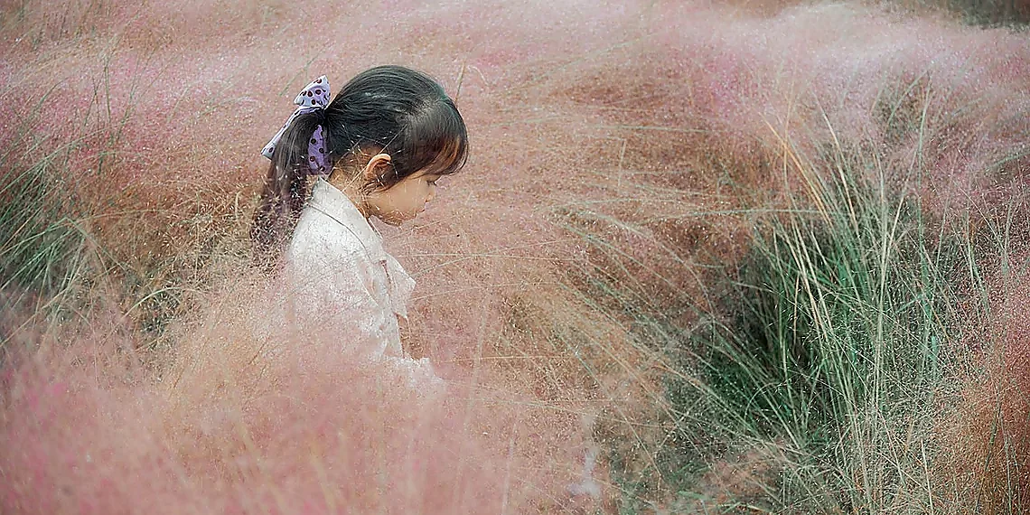 Why Physics Alone Isn't Enough – hybrid twinning