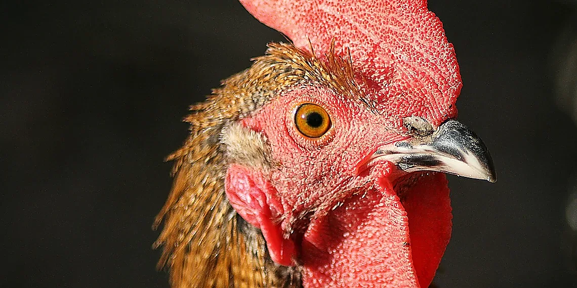 Understanding SSD TBW Limits