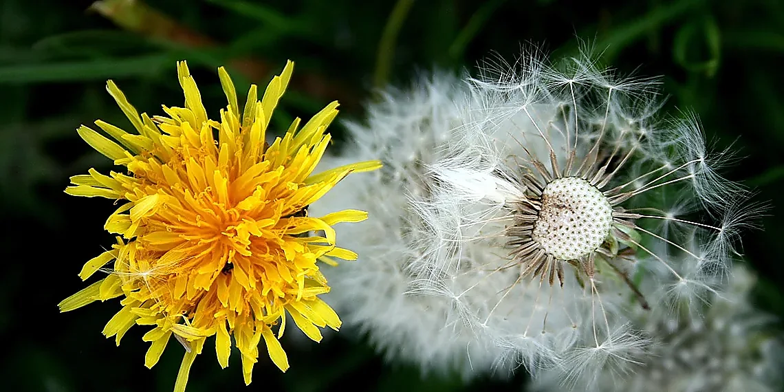 From Belief Distributions to Imprecise Probabilities – AIXI Utility Functions