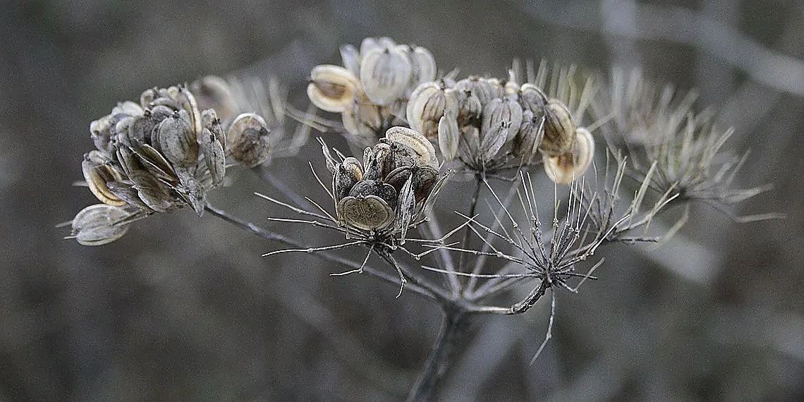 The Problem of Incomplete Histories – AIXI Utility Functions