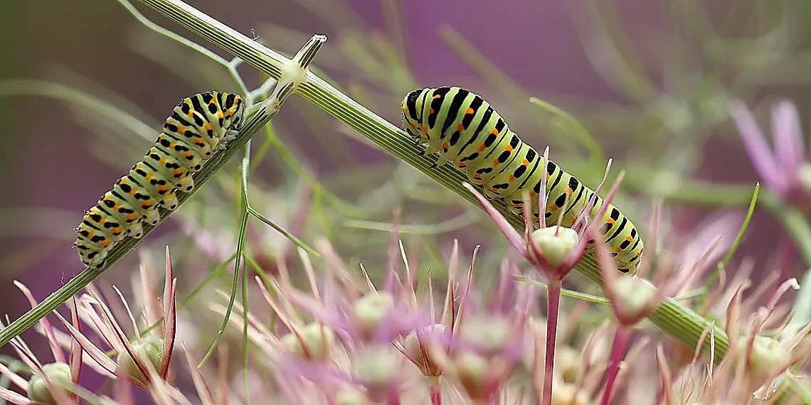 How Adversarial Attacks Evade Detection – LLM malware attacks