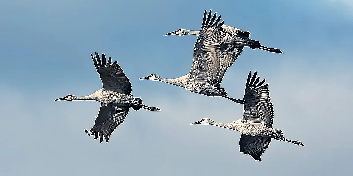 A Diverse Team for a Historic Flight – Artemis II