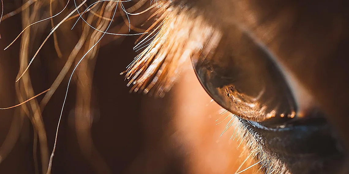 Unveiling Hidden Structures – Webb telescope images