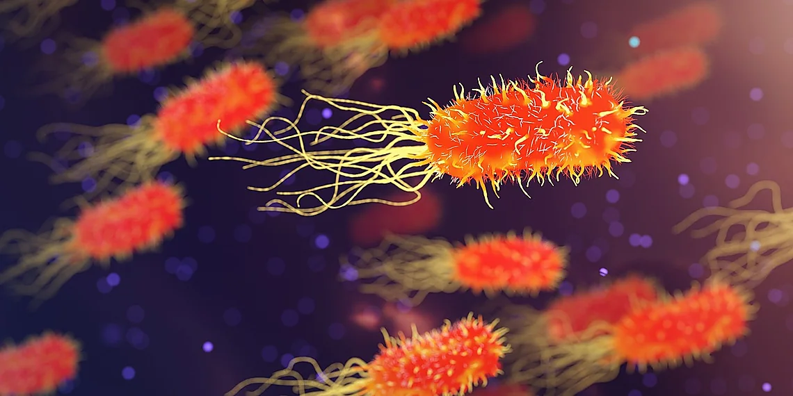 Related image for immunotherapy cancer