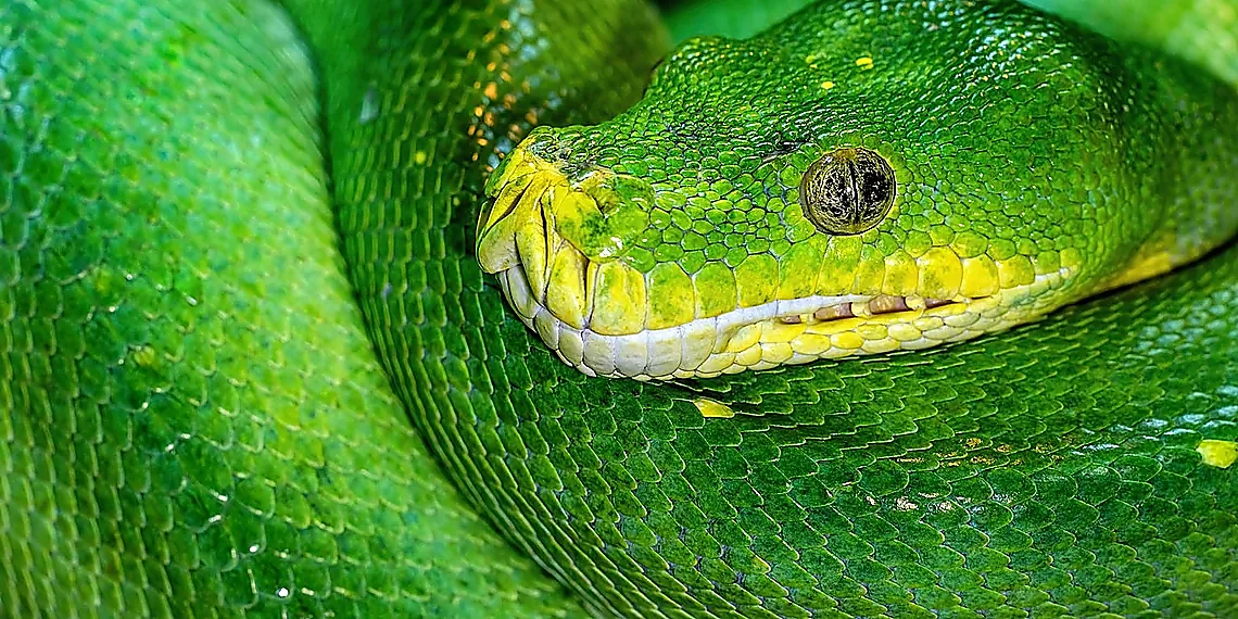 Data Structures & Note Representation – Zettelkasten Knowledge Graph