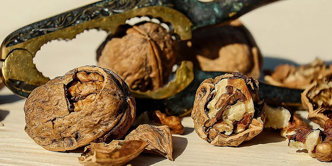 From Triton to Spatial Hardware: The Compilation Process – spatial dataflow compiler