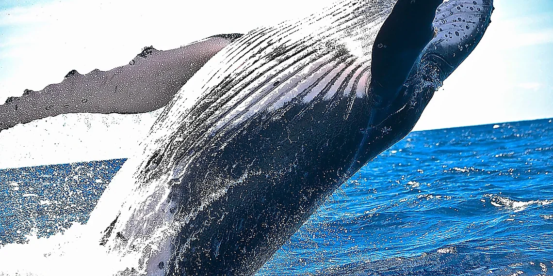 Recent Attacks & Their Impact – IIoT security