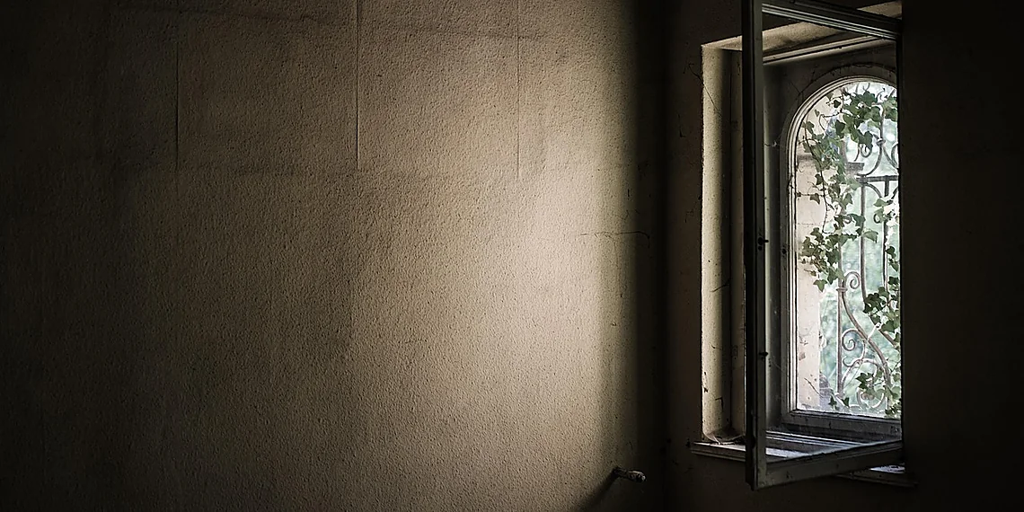 Related image for Neural Network Training