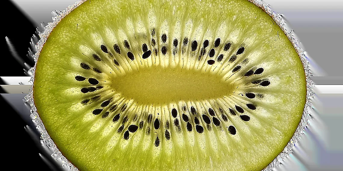 Understanding Plasma Density Limits – fusion energy