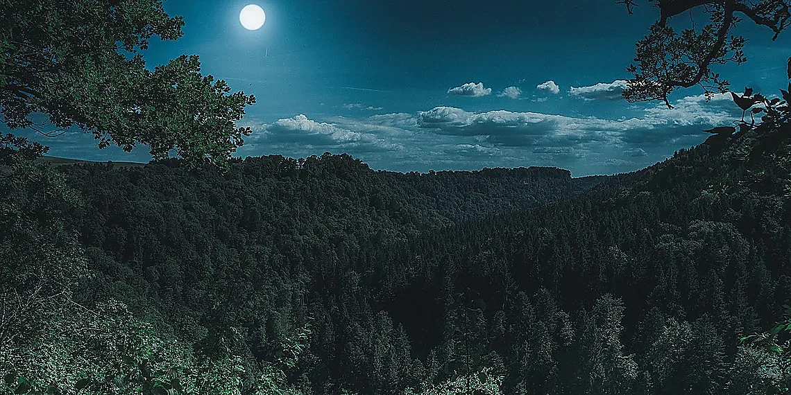 Combining Ground & Space Data – rogue planet discovery